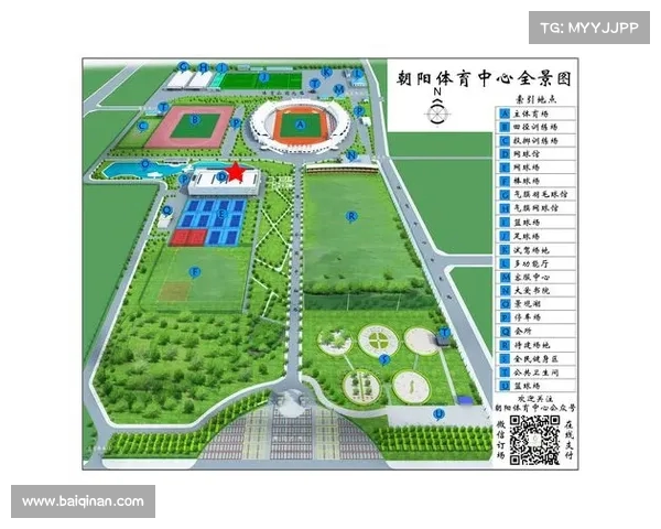 激情碰撞与智慧博弈 网球赛场上的技术与心理对决全景解析
